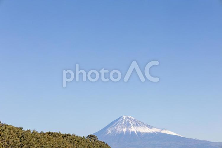 三保松原と冬の青空と富士山 三保松原,真冬,青空の写真素材