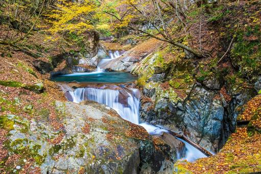 山梨県 西沢渓谷の紅葉 山梨県 西沢渓谷の紅葉 西沢渓谷,山梨県,紅葉の写真素材