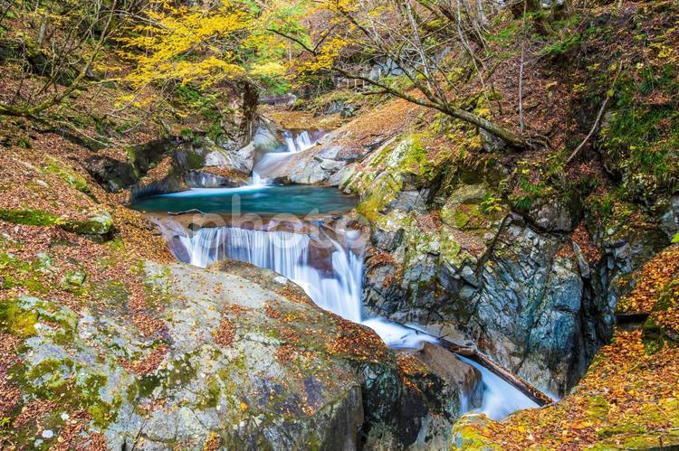 山梨県　西沢渓谷の紅葉 西沢渓谷,山梨県,紅葉の写真素材