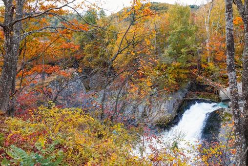 秋の滝上町の風景 滝上町,滝上渓谷錦仙峡,錦仙峡の写真素材