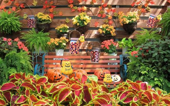 ハロウィンイメージ素材/花と小物飾り ハロウィンイメージ素材/花と小物飾り ハロウィン,小物,花の写真素材