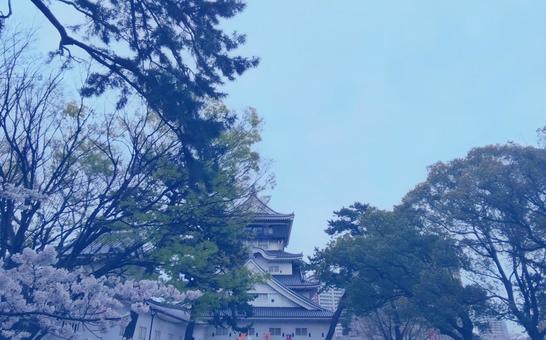 2025年の小倉城さくらまつり 2025年の小倉城さくらまつりの写真