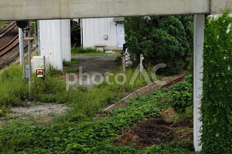 北王子線廃線跡 北王子線廃線跡,線路,草の写真素材