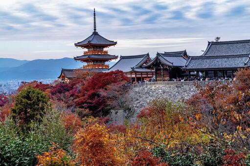 京都　清水寺三重塔　紅葉 清水寺,世界遺産,重要文化財の写真素材