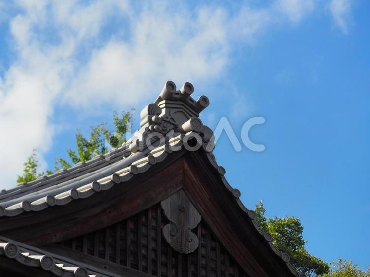 玉田神社　社殿 社殿,神社仏閣,玉田神社の写真素材