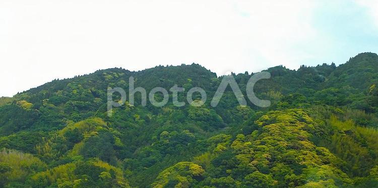 もこもこと若葉で盛り上がる新緑の山々 若葉,青葉,新緑の写真素材