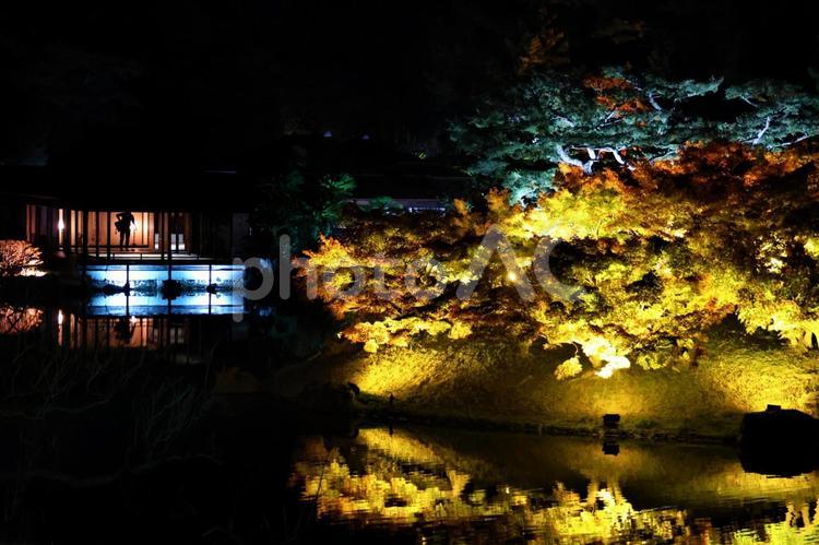 １１月中旬の栗林公園の紅葉のライトアップ 背景,紅葉,もみじの写真素材