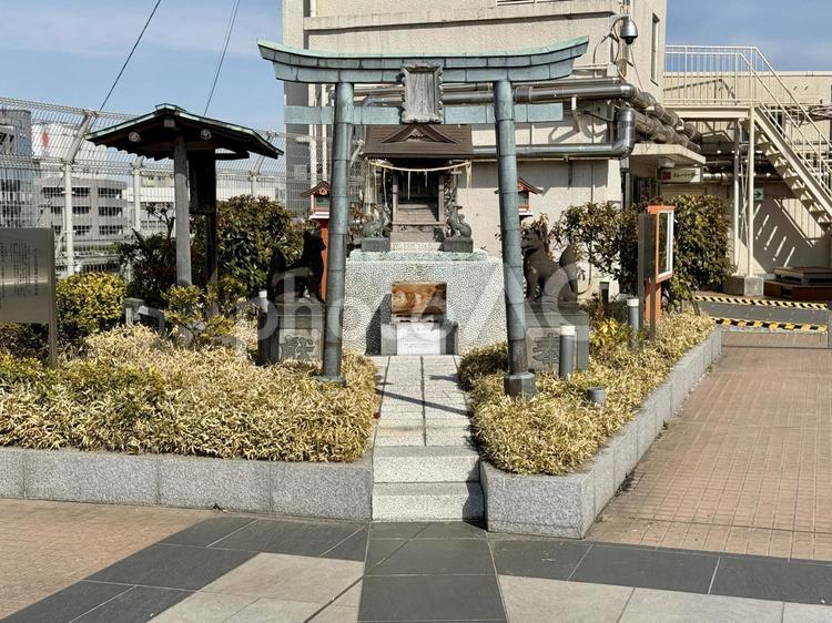 浅草駅ビルの屋上　出世稲荷神社 お稲荷さん,像,狐の写真素材