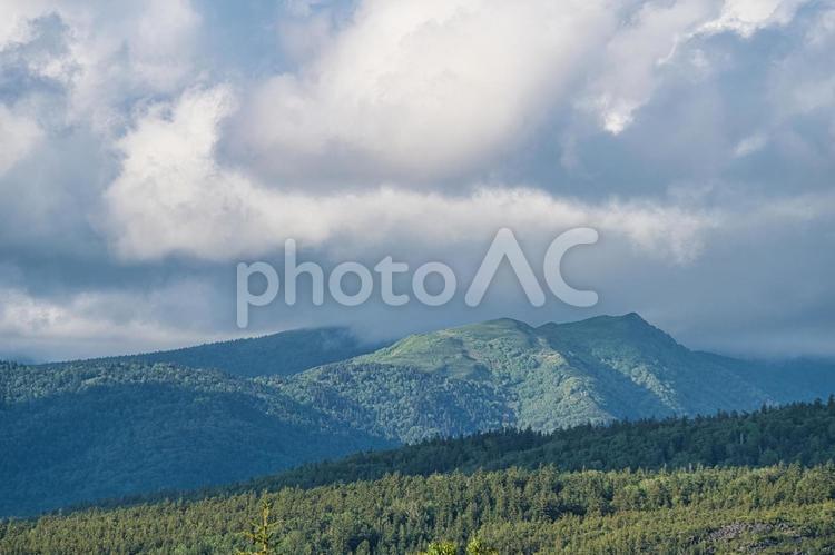 山頂からの風景10 新緑,森,森林の写真素材
