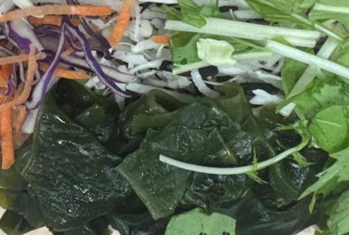 野菜サラダ 野菜サラダの写真