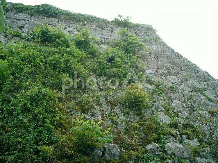 篠山城二の丸石垣 篠山城,篠山の写真素材