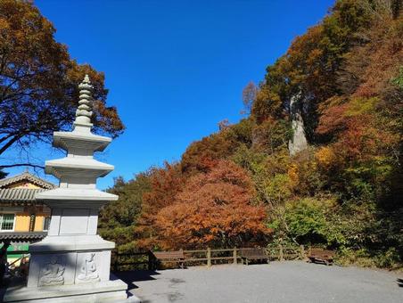 済州島・天王寺 天王寺,済州島,チェジュ島の写真素材
