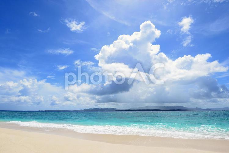 南国沖縄の美しいビーチ 沖縄,海,ビーチの写真素材