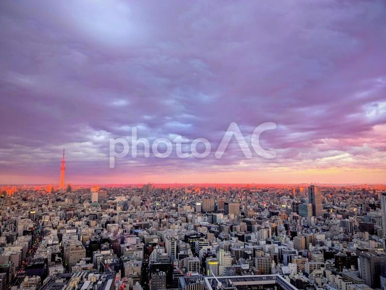 東京　日暮れのスカイツリー 東京,夕方,風景の写真素材