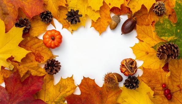 落ち葉と秋の実のフレームの写真