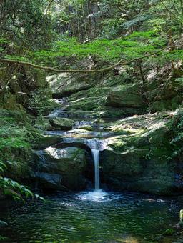 木漏れ日の中の滝 滝,沢,渓流の写真素材