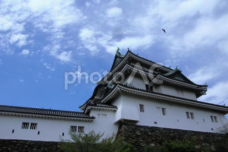 城ー和歌山城ー和歌山県 和歌山城,和歌山県,城の写真素材