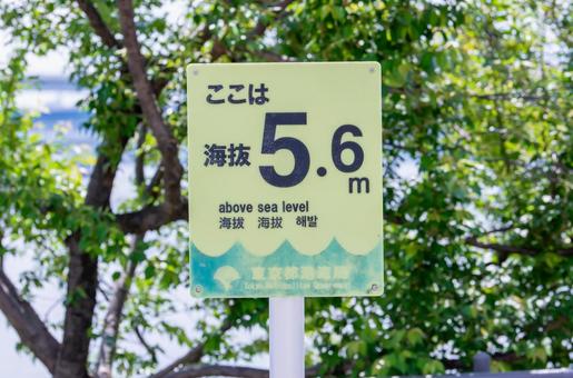 海抜5.6mの看板 海抜5.6mの看板の写真