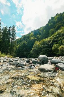 付知峡の自然 付知峡の自然の写真