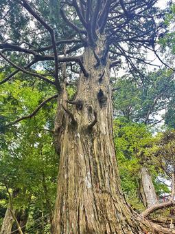 熊野三山 玉置神社 熊野三山 玉置神社の写真