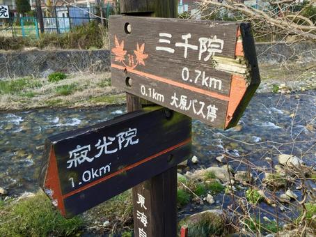京都 木の標識 京都 木の標識 標識,案内,木の写真素材