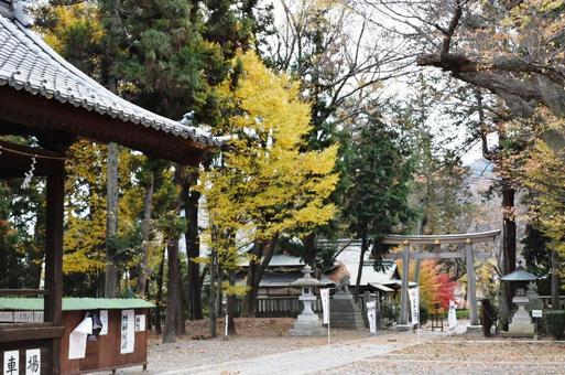 千曲市武水別神社 千曲市武水別神社の写真
