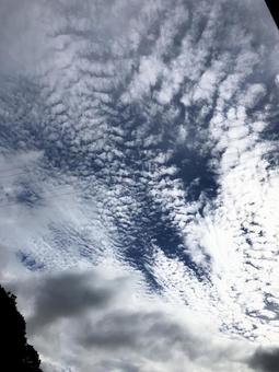 雲　青空　天気　空　の写真