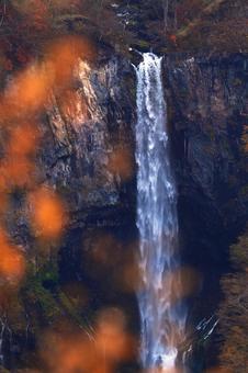 滝 滝の写真