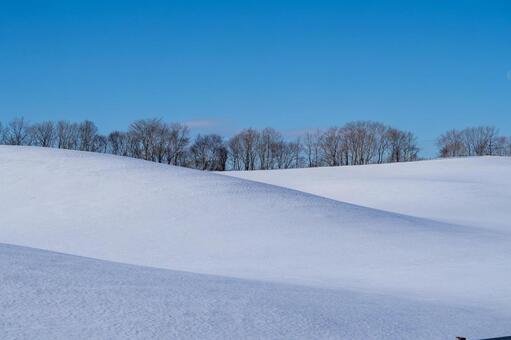 冬の丘陵地の雪原風景 冬景色,丘陵,丘の写真素材