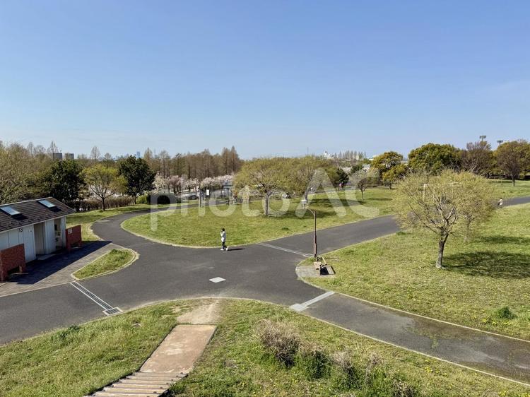 春の舎人公園 舗装,交差点,十字路の写真素材