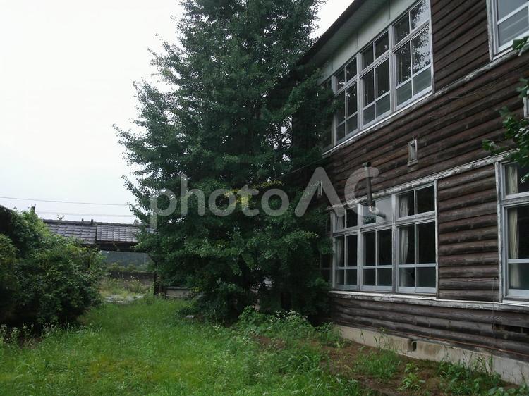 レトロな廃校・木造校舎「杲小学校」群馬 杲小学校,木造校舎,廃校の写真素材