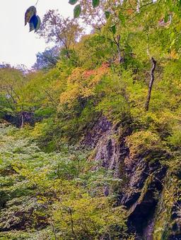 岩肌の紅 秋,紅葉,塩原の写真素材