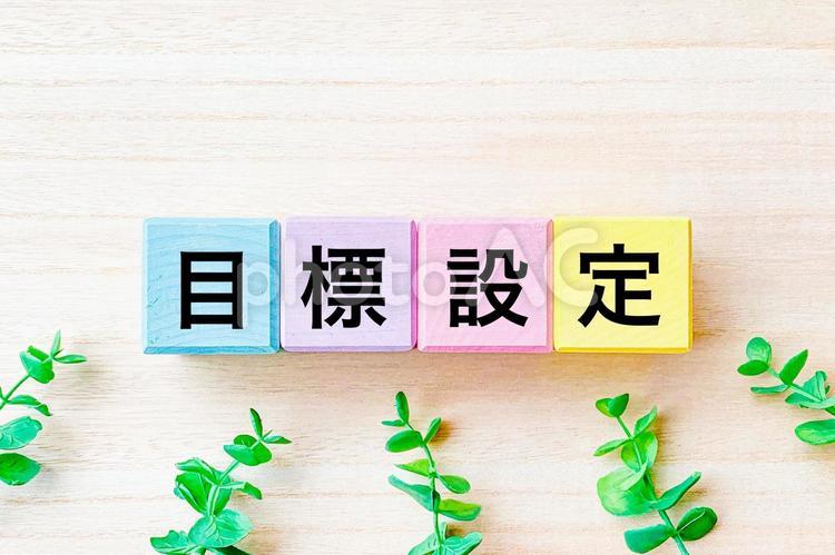 目標設定の文字ブロック 目標,目標設定,希望の写真素材
