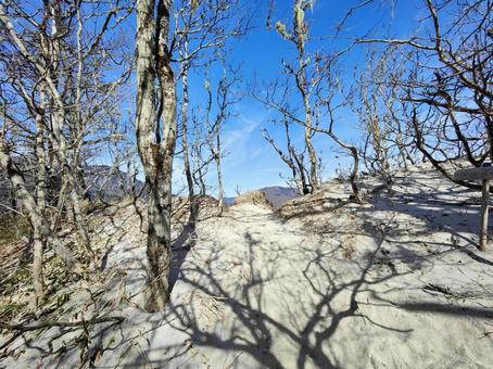 白砂の登山道 白砂の登山道の写真