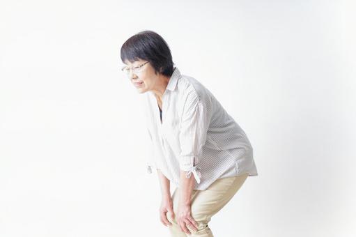 膝の痛みを感じる高齢者の女性 膝の痛みを感じる高齢者の女性 病気,対処法,ひざの写真素材