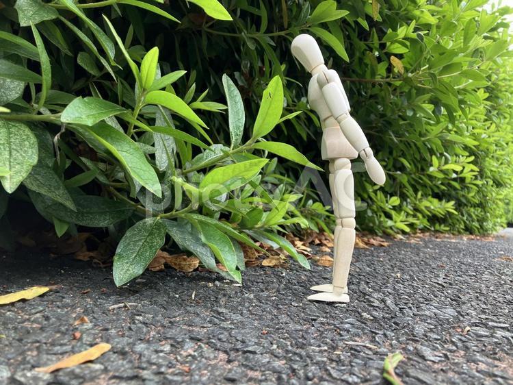 はっぱを見つめるデッサン人形 デッサン人形,はっぱ,雑草の写真素材
