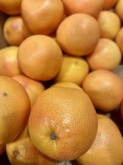grapefruit, JPG grapefruit, JPG