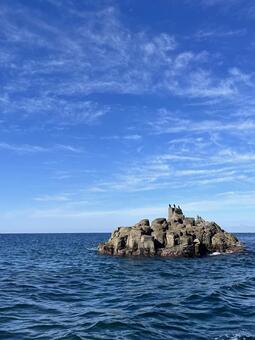 日本海に浮かぶ岩と静かに佇む鳥 海,日本海,福井の写真素材