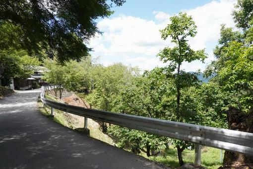 吉野山 中千本の日常風景 吉野山 中千本の日常風景の写真
