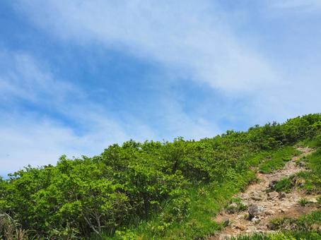 山道20 山道20の写真