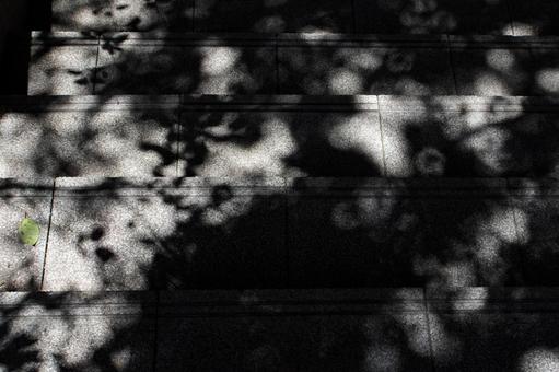 石段の木陰の写真