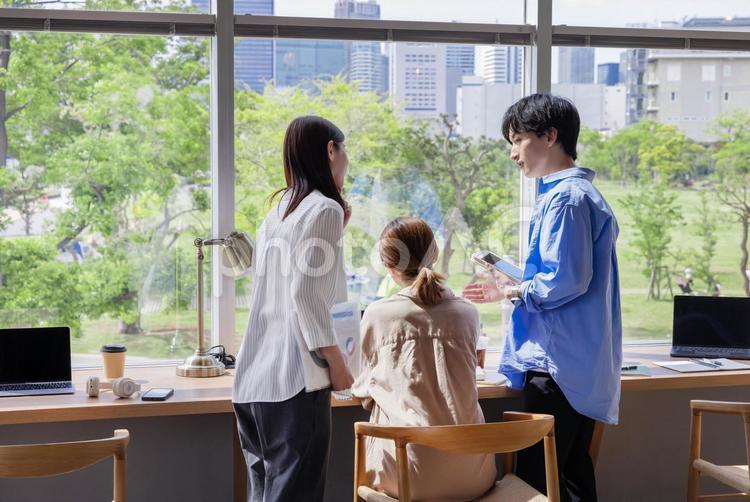 デザイナーズオフィスで働く人々 スタイリッシュ,デザイナーズオフィス,新緑の写真素材