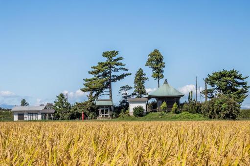 下飯田薬師堂古墳⒅ 下飯田薬師堂古墳⒅ 薬師堂,仏堂,薬師如来の写真素材