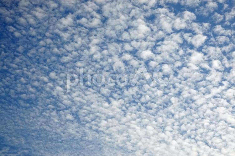 整然と並ぶイワシ雲 青空,雲,白雲の写真素材