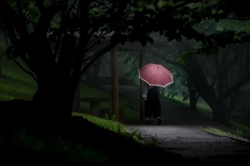 <素材>雨の森の中の公園を散歩する女性 <素材>雨の森の中の公園を散歩する女性 女性,雨,傘の写真素材