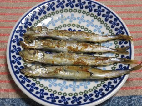 ししゃも ししゃも キャペリン,樺太ししゃも,魚の写真素材