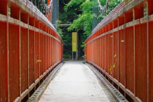 丹生川　上流589 河川,橋,歩行者専用の写真素材