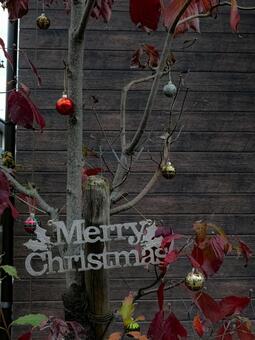 クリスマスオブジェ ディスプレイ,風景,アートの写真素材