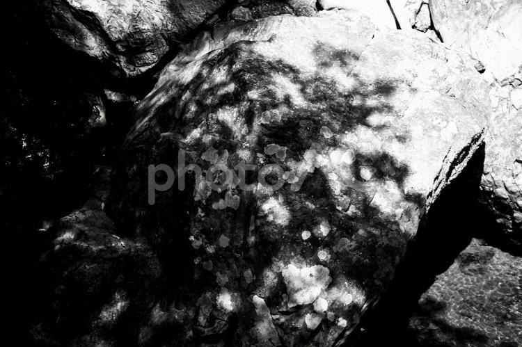 モノクロ　巨岩と木漏れ日２ 巨岩,白黒,自然の写真素材