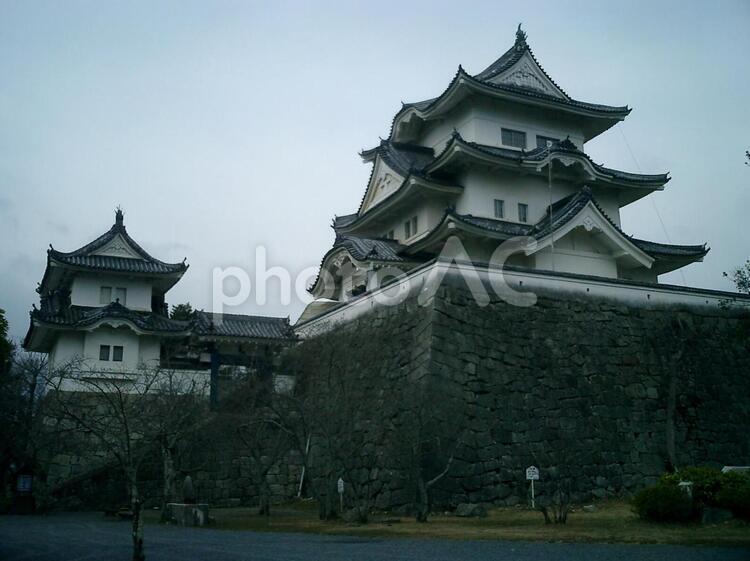 伊賀上野城模擬天守 伊賀上野城,上野城,伊賀の写真素材